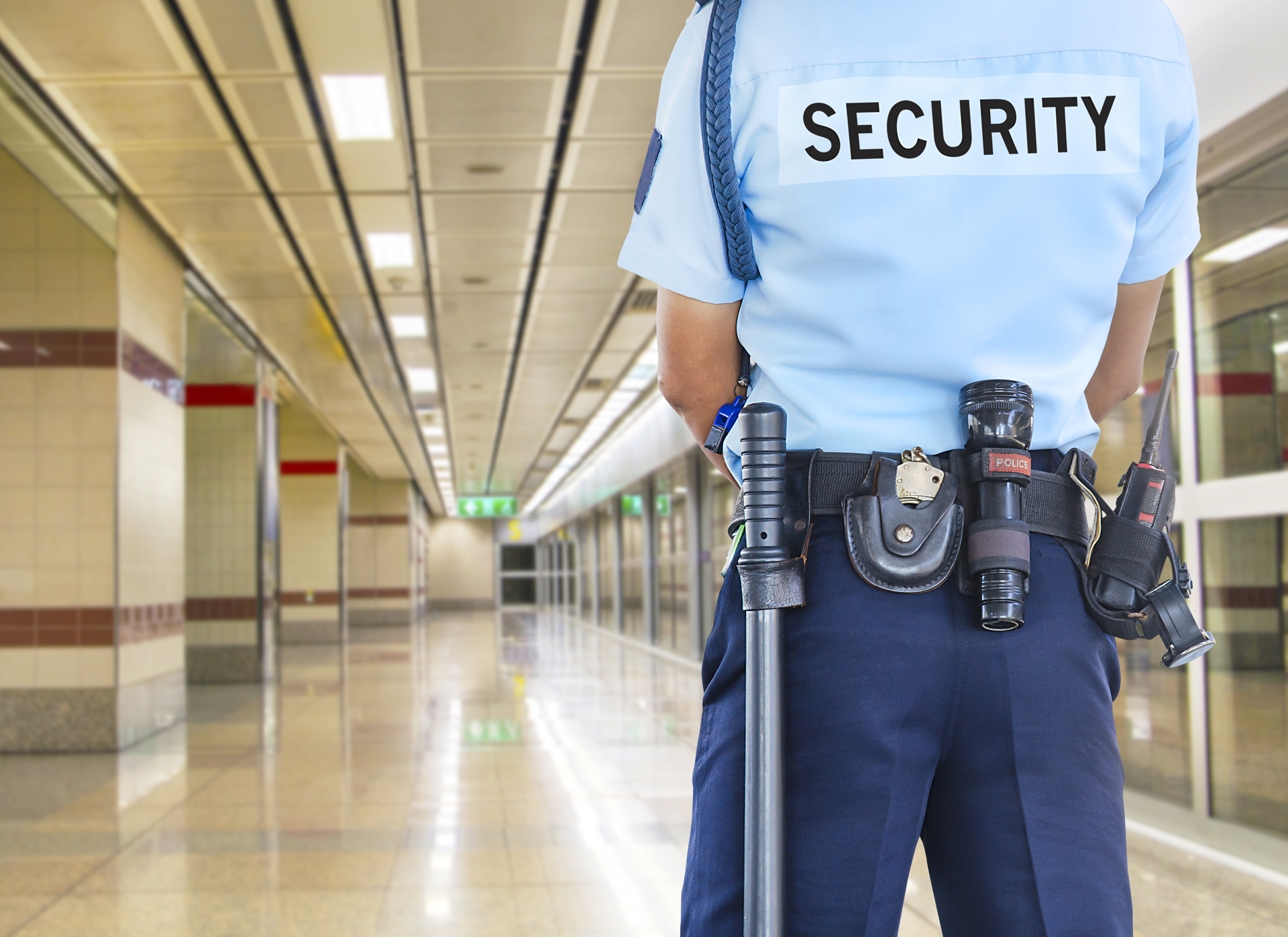 LINX Security Guard Software Singapore