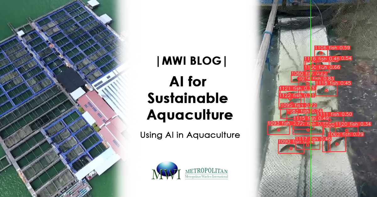 AI for sustainable aquaculture in Singapore