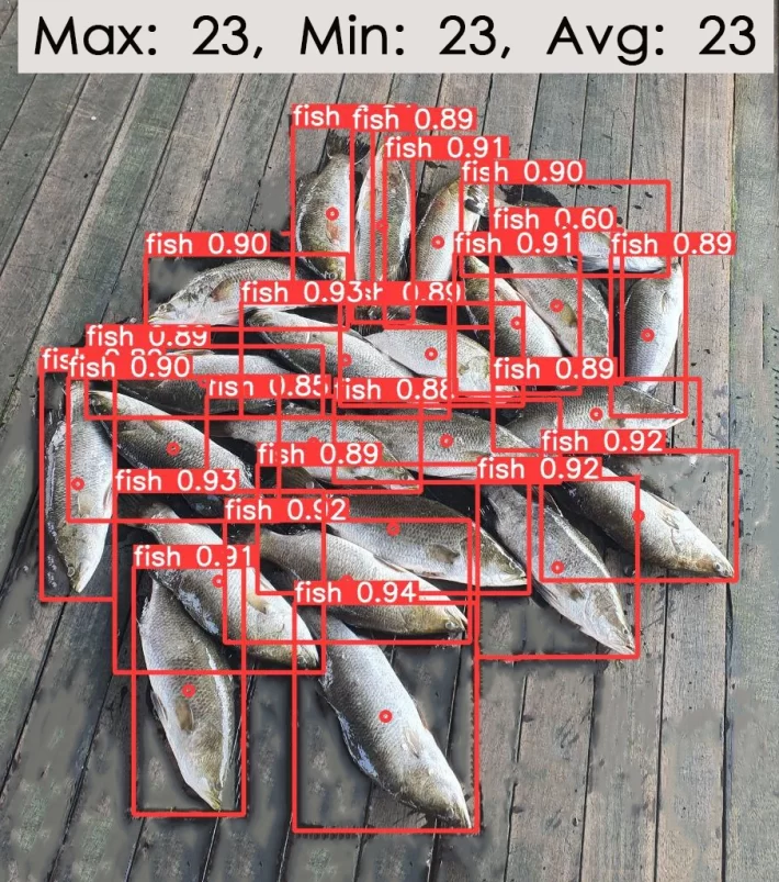 AI-fish-harvest