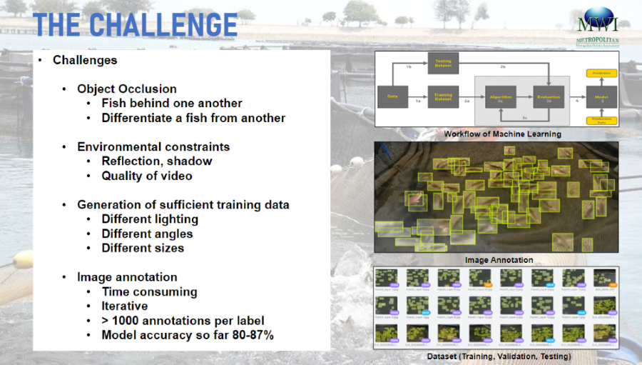 AI-challenges-in-fish-farming