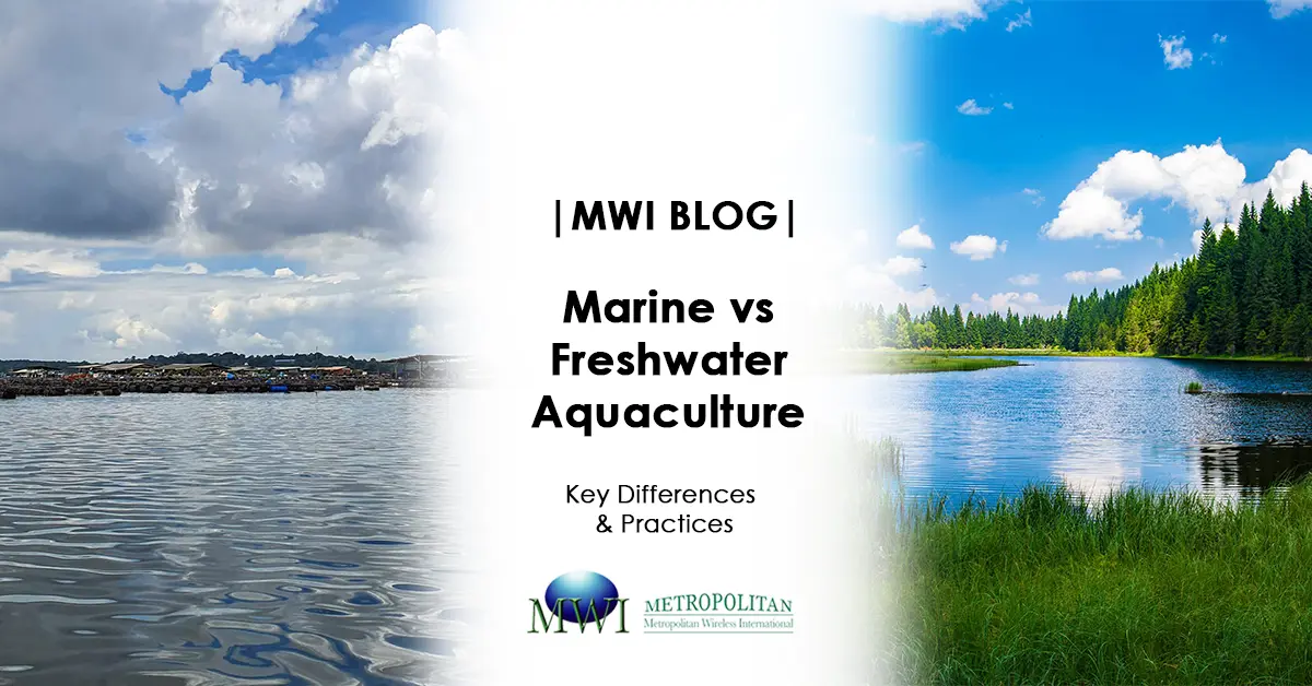 marine-vs-freshwater-aquaculture